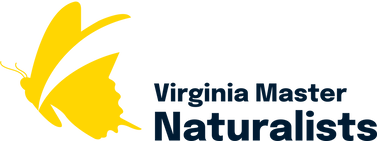 logo with yellow tiger swallowtail butterfly perched on orange Virginia Master Naturalist text